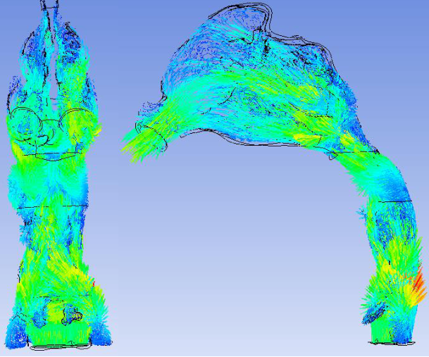 术前呼气过程速度矢量分布